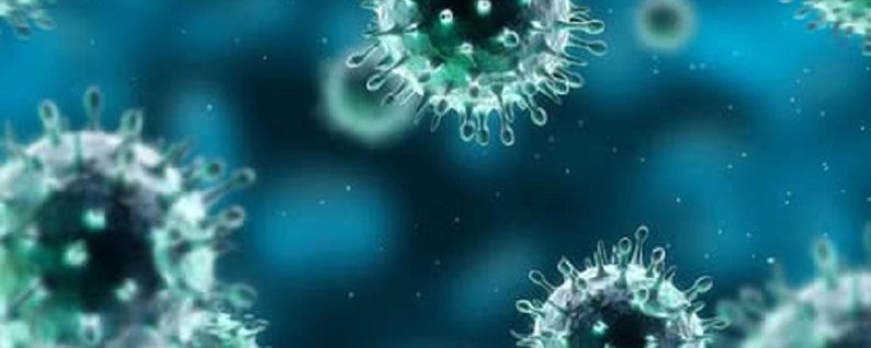 Стан захворюваності на COVID-19 в Мукачеві станом на 25 січня