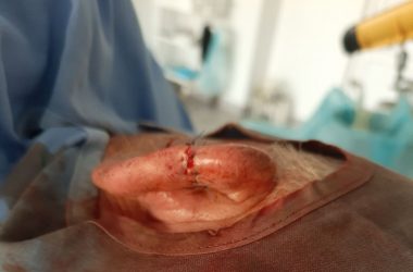 yzobrazhenye_viber_2021-03-29_13-02-44