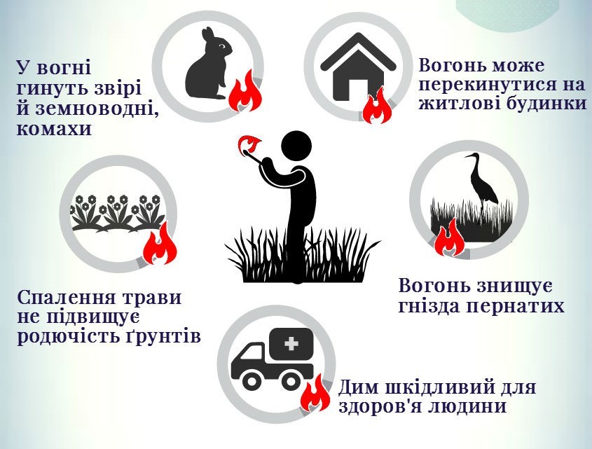 Застерігаємо від спалювання сухостою!
