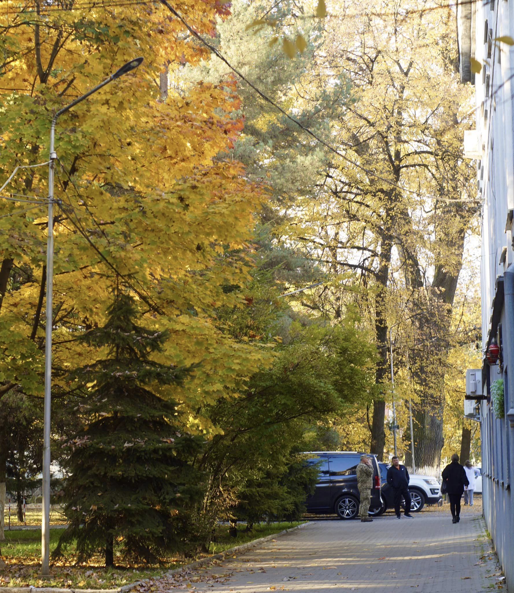 Кілька порад лікарів, як адаптуватися до осені