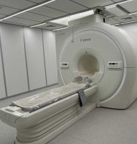 photo_5233616224153966080_y