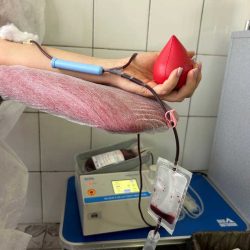 photo_5257991997509801246_y