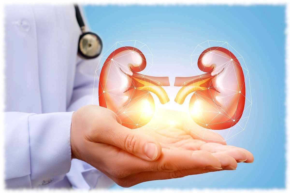 27 березня у світі відзначають всесвітній день нефролога