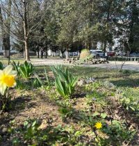 photo_5337264921856645390_y-1