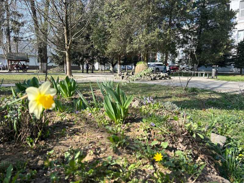 У Лікарні Святого Мартина відбулася щорічна толока