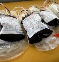 1f25e995-e231-4d31-aa1f-4409a6d24665