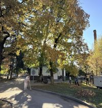img_0818